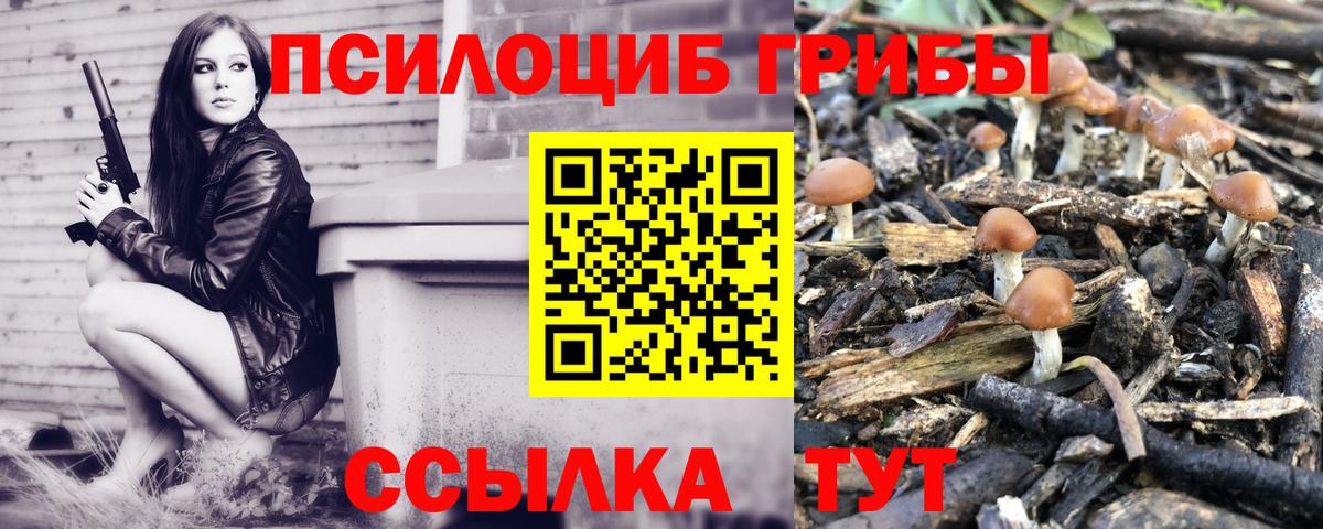 Галлюциногенные грибы GOLDEN TEACHER Каспийск