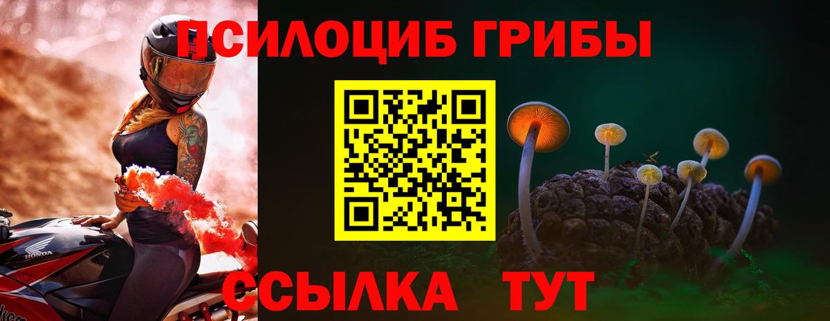 Псилоцибиновые грибы MAGIC MUSHROOMS  Вход с VPN  Каспийск 